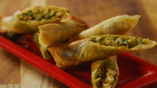 Chicken Tikka Spring Rolls